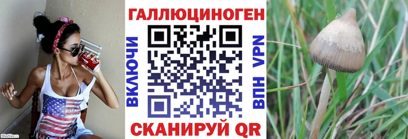 Галлюциногенные грибы MAGIC MUSHROOMS  Бежецк 
